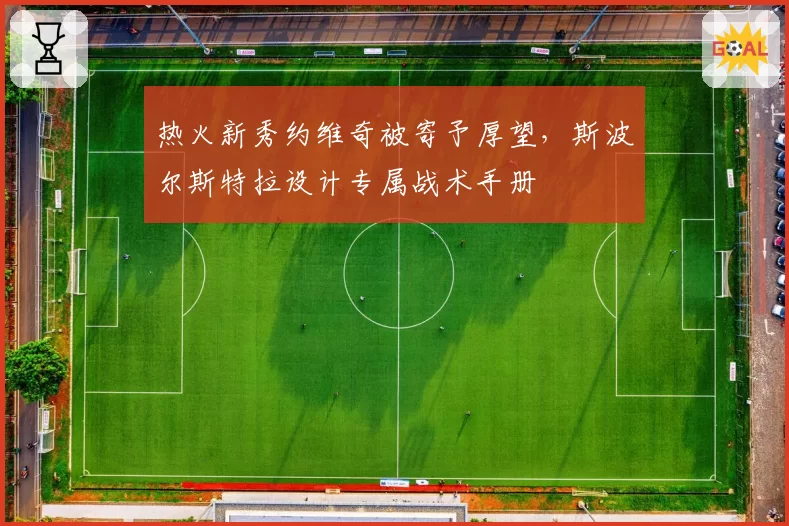 热火新秀约维奇被寄予厚望，斯波尔斯特拉设计专属战术手册