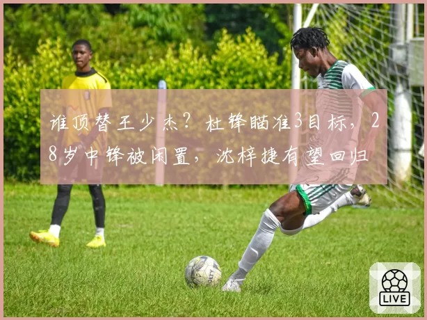 谁顶替王少杰？杜锋瞄准3目标，28岁中锋被闲置，沈梓捷有望回归