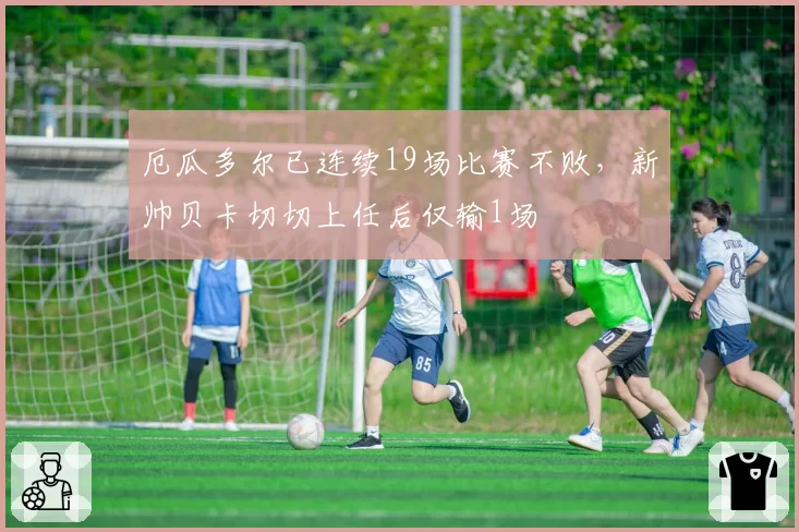 厄瓜多尔已连续19场比赛不败，新帅贝卡切切上任后仅输1场