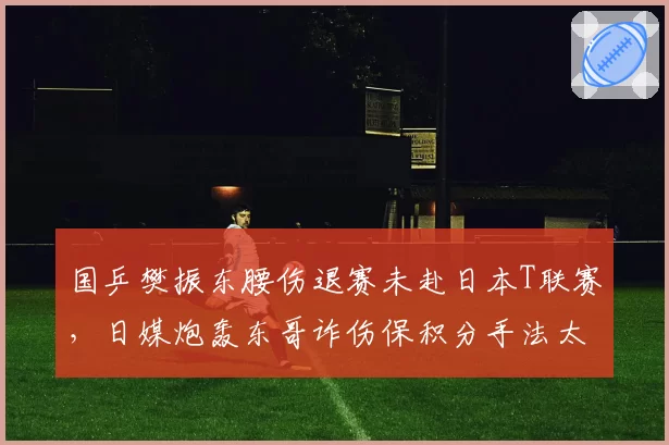 国乒樊振东腰伤退赛未赴日本T联赛，日媒炮轰东哥诈伤保积分手法太明显