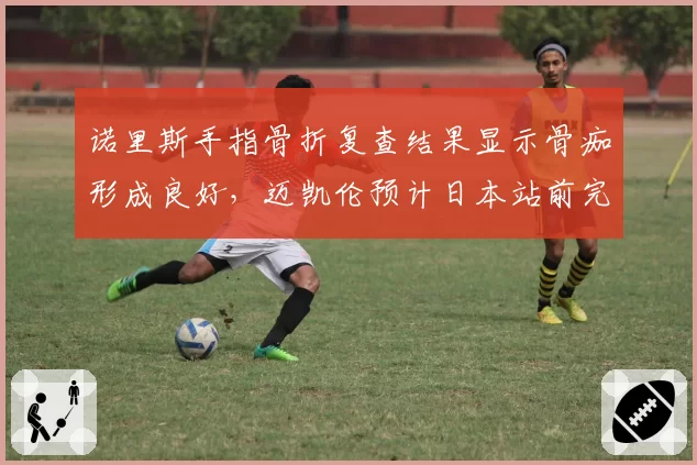 诺里斯手指骨折复查结果显示骨痂形成良好，迈凯伦预计日本站前完全康复