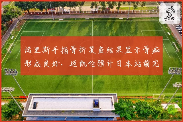 诺里斯手指骨折复查结果显示骨痂形成良好，迈凯伦预计日本站前完全康复