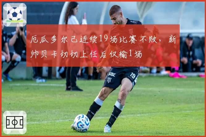 厄瓜多尔已连续19场比赛不败，新帅贝卡切切上任后仅输1场