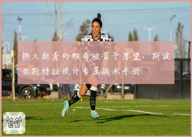 热火新秀约维奇被寄予厚望，斯波尔斯特拉设计专属战术手册