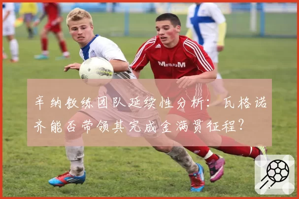 辛纳教练团队延续性分析:瓦格诺齐能否带领其完成金满贯征程?
